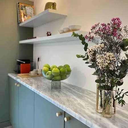 公寓 Designer Signature 2 Bdr Cismigiu Park 80sqm 布加勒斯特